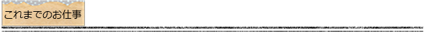 これまでのお仕事